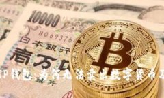 深入探讨TP钱包：为何无法卖出数字货币及解决方