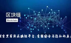 探索黑莓新区块链平台：重塑安全与隐私的未来