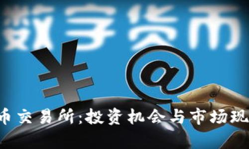 全面剖析TPT币交易所:投资机会与市场现状的深度解析