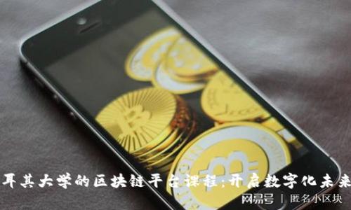 探索土耳其大学的区块链平台课程：开启数字化未来的门户