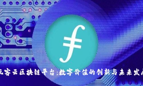 玩客云区块链平台:数字价值的创新与未来发展