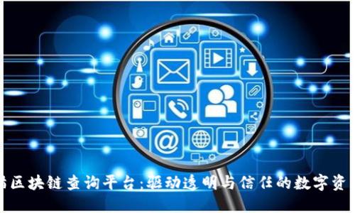 探索黑猫区块链查询平台:驱动透明与信任的数字资产新风向