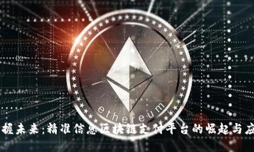 掌握未来:精准信息区块链支付平台的崛起与应用