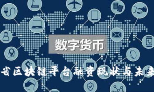湖北省区块链平台融资现状与未来展望
