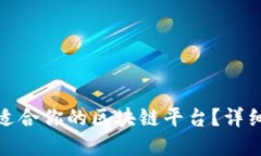 如何选择最适合你的区块链平台？详细