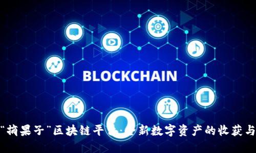 探索“摘果子”区块链平台:全新数字资产的收获与机遇