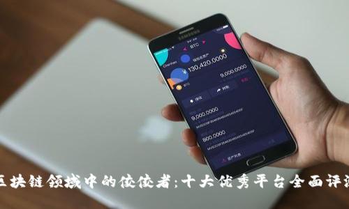 区块链领域中的佼佼者：十大优秀平台全面评测