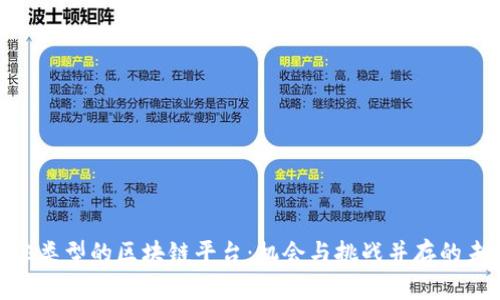探秘其他类型的区块链平台：机会与挑战并存的未来科技