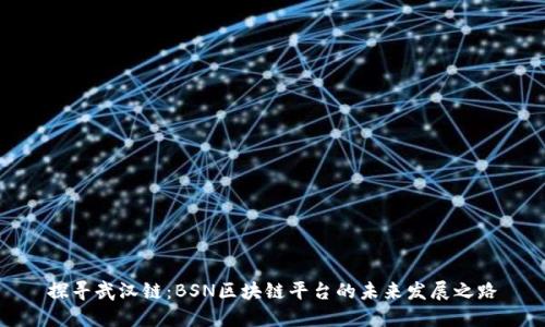 探寻武汉链:BSN区块链平台的未来发展之路