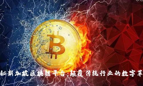 探秘新加坡区块链平台:颠覆传统行业的数字革命