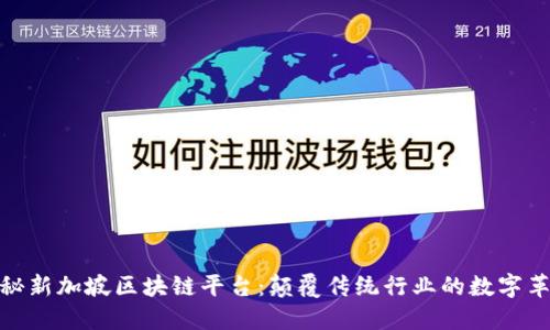 探秘新加坡区块链平台:颠覆传统行业的数字革命