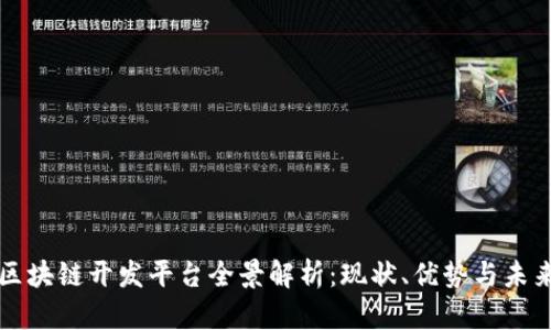 国内区块链开发平台全景解析:现状、优势与未来趋势