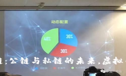 深入探索区块链:公链与私链的未来,虚拟币的角色与影响