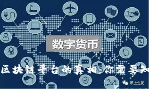 揭开蚂蚁区块链平台的真相:你需要知道的一切