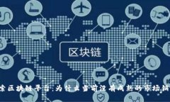 深入探索区块链平台：为什么当前没有