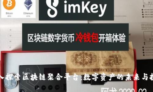 深入探索区块链聚合平台:数字资产的未来与挑战