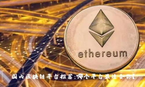 国内区块链平台推荐:哪个平台最适合你?