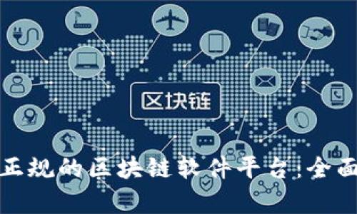 探索国内最正规的区块链软件平台:全面分析与推荐