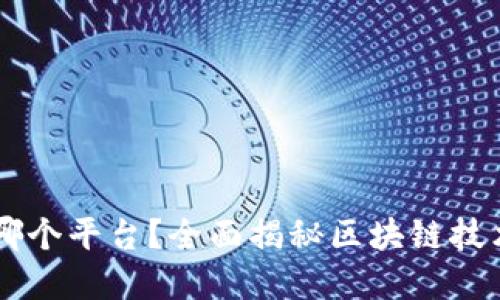 区块链到底是哪个平台?全面揭秘区块链技术的基础与应用