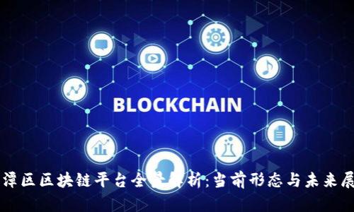 平潭区区块链平台全景解析：当前形态与未来展望