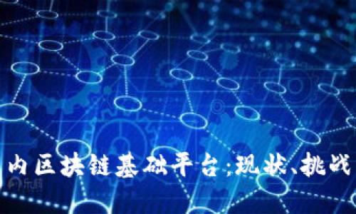 深入探讨国内区块链基础平台:现状、挑战与未来机遇