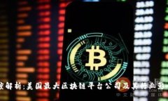 深度解析：美国最大区块链平台公司及