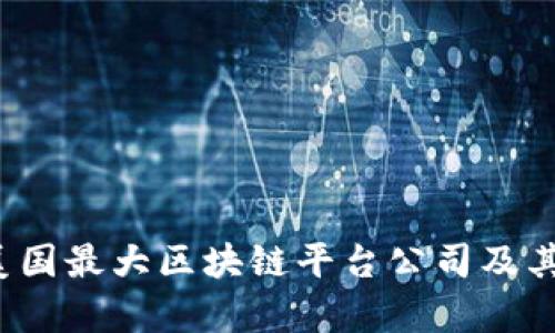 深度解析:美国最大区块链平台公司及其行业影响力