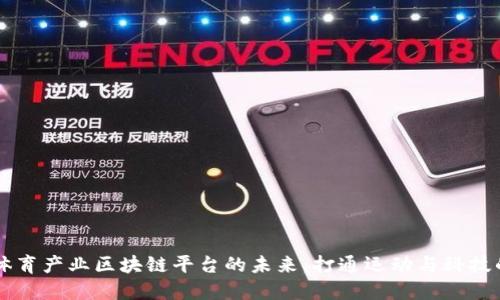广州体育产业区块链平台的未来:打通运动与科技的桥梁