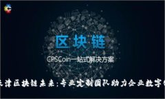 探索天津区块链未来：专业定制团队助