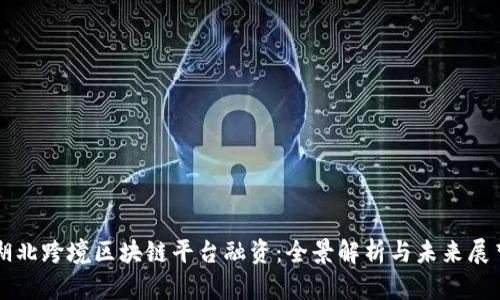 湖北跨境区块链平台融资:全景解析与未来展望