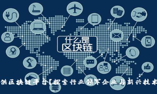 谁来提供区块链平台?探索行业领军企业与新兴技术的未来