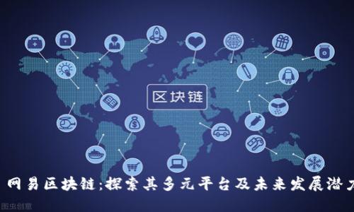 网易区块链:探索其多元平台及未来发展潜力