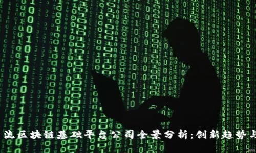 2023年主流区块链基础平台公司全景分析:创新趋势与未来前景