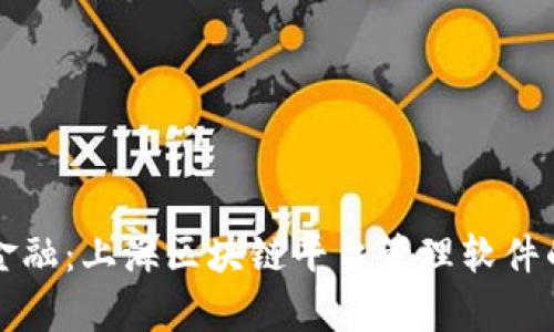 打造未来金融:上海区块链平台管理软件的全景分析