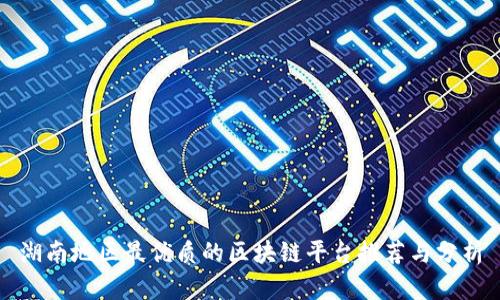 湖南地区最优质的区块链平台推荐与分析