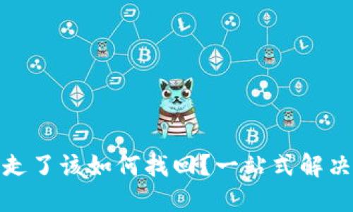 TP钱包的币被转走了该如何找回?一站式解决方案和实用建议