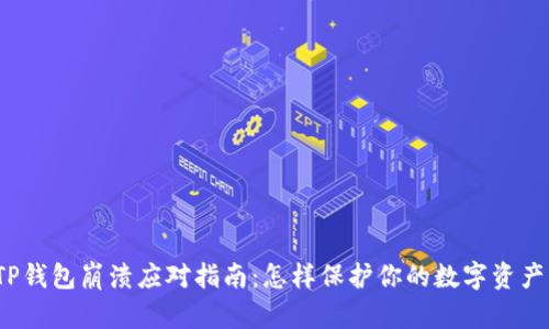 TP钱包崩溃应对指南:怎样保护你的数字资产?