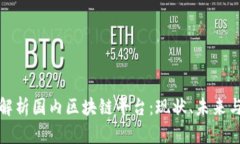 全面解析国内区块链平台：现状、未来
