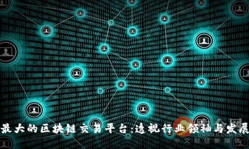 全球最大的区块链交易平台:透视行业领袖与发展动态