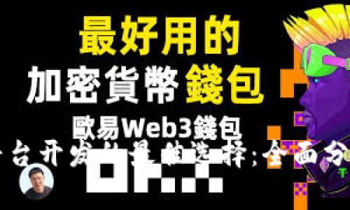 区块链平台开发的最佳选择:全面分析与评估