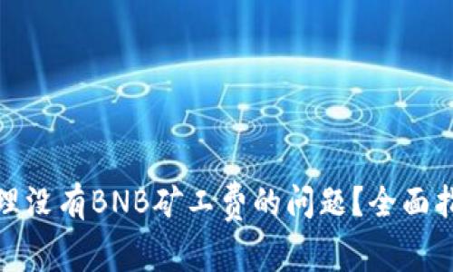 TP钱包如何处理没有BNB矿工费的问题?全面指南与解决策略